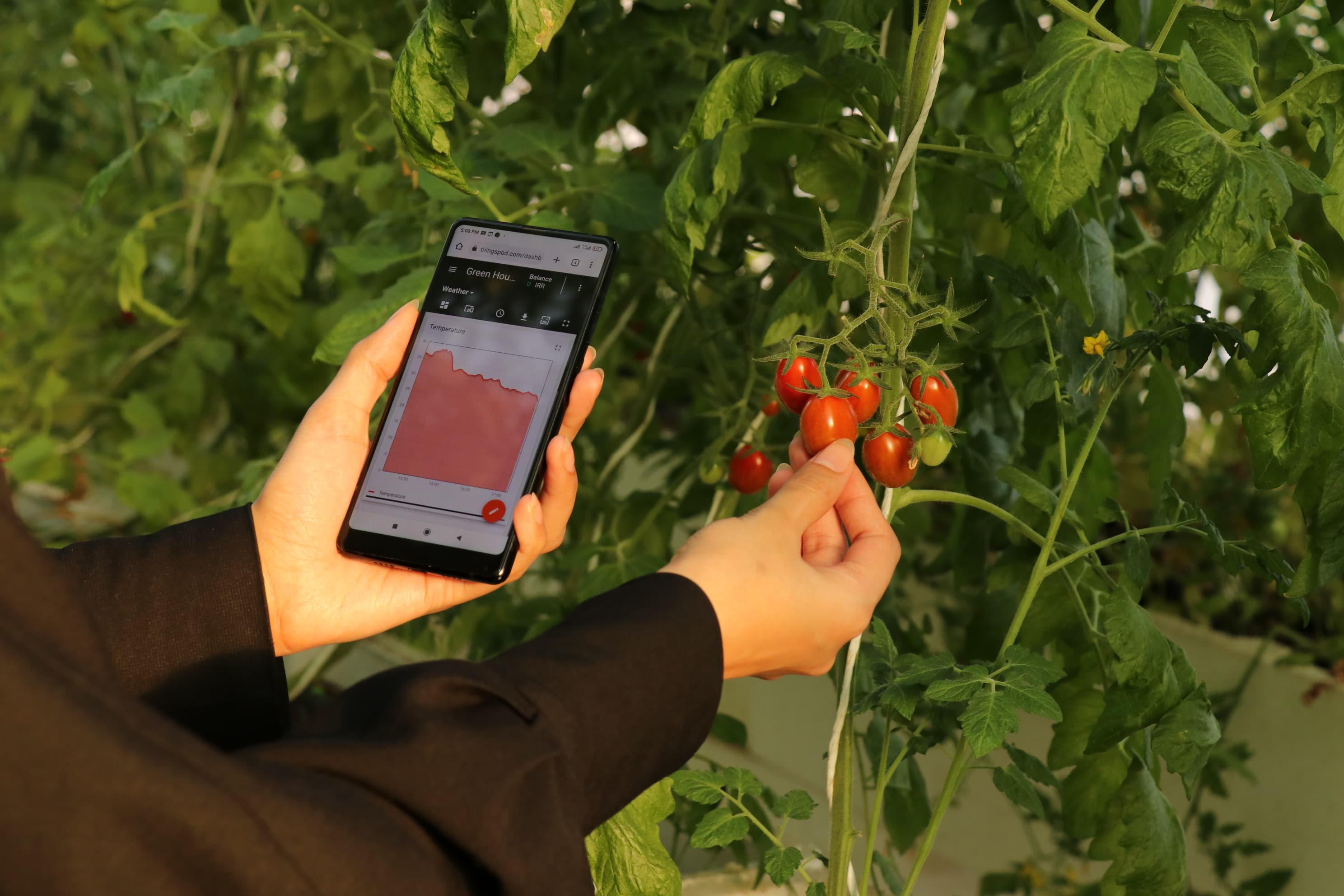 گلخانه هوشمند مبتنی بر پلتفرم اینترنت اشیا